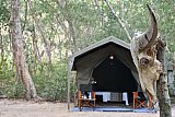 Explorer by Maoora - Kumana National Park