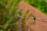 Explorer by Mahoora - Gal Oya National Park
