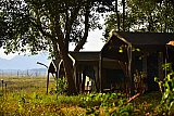 Explorer by Mahoora - Gal Oya National Park