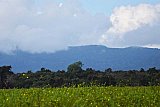 Explorer by Mahoora - Wasgamuwa National Park