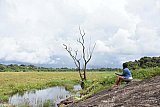 Explorer by Mahoora - Wasgamuwa National Park