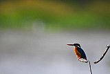 Explorer by Mahoora - Wasgamuwa National Park