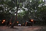 Explorer by Maoora - Kumana National Park