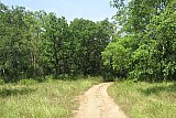 Explorer by Mahoora - Gal Oya National Park