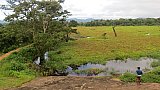 Explorer by Mahoora - Wasgamuwa National Park