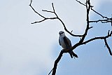 Explorer by Mahoora - Wasgamuwa National Park