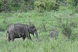 Maduru Oya National Park