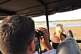 Safari Images