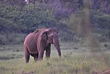 Maduru Oya National Park