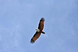 Maduru Oya National Park