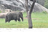 Maduru Oya National Park