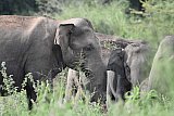 Maduru Oya National Park