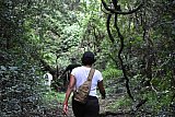 Explorer by Mahoora - Knuckles