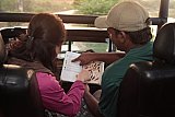 Safari Images