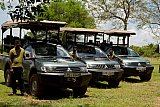 Safari Images