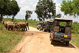 Mahoora - Udawalawe Sri Lanka