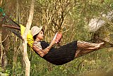 Mahoora - Wilpattu Sri Lanka