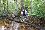 Sinharaja forest trek : north to south