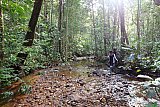 Sinharaja forest trek : north to south