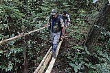 Sinharaja forest trek : north to south