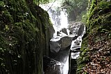 Sinharaja forest trek : north to south