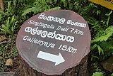 Sinharaja forest trek : north to south