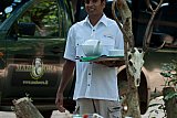 Mahoora - Yala Sri Lanka