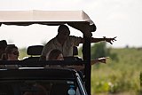 Mahoora - Yala Sri Lanka